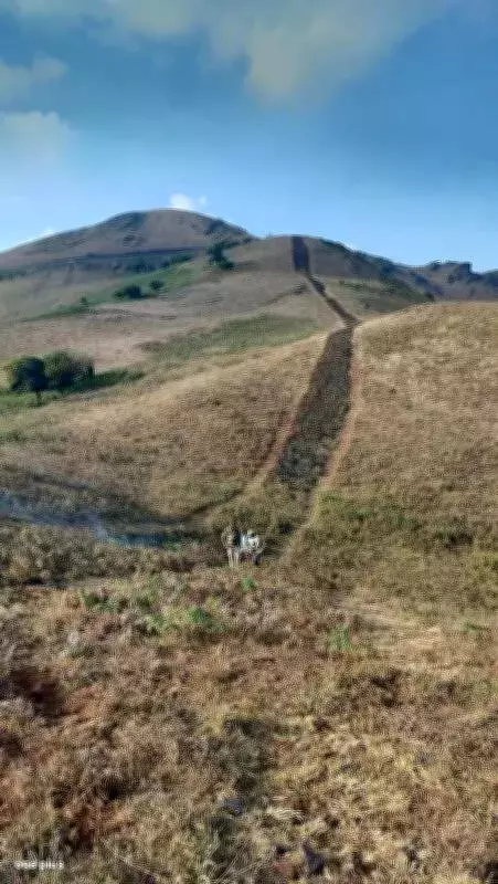 Chikkamagaluru Forest Department Ramps Up Fire Prevention as Summer Temperatures Rise