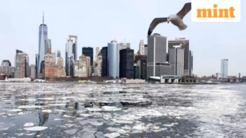 Climate Change's Economic Toll: Extreme Weather Costs Billions Annually