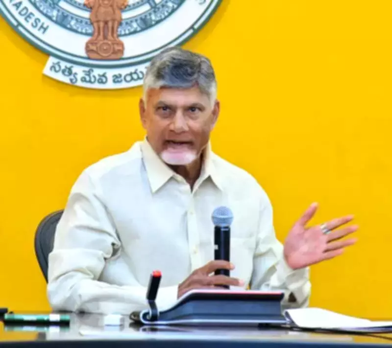 CM Naidu Directs Action Plan for BC Micro-Entrepreneurs and MSMEs in Andhra Pradesh