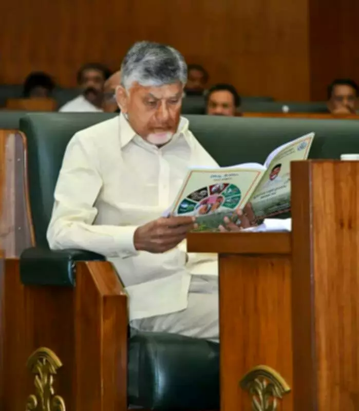 CM Naidu Praises Andhra Budget, Highlights Rayalaseema and Amaravati Development