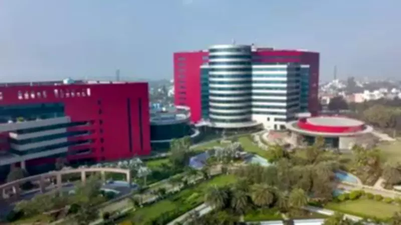 Coforge & Persistent Defy IT Slowdown with Double-Digit Growth in Q3