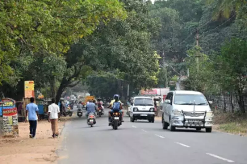 Coimbatore Road Widening Delayed as HC Halts Tree Felling on Vadavalli-Marudhamalai Stretch