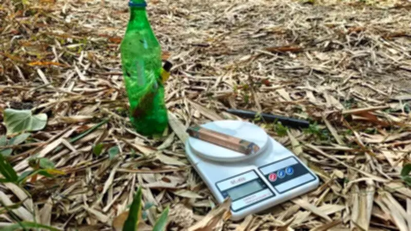 Coimbatore's Perur Periyakulam Lake Faces Threat from Drug Use and Alcohol Consumption