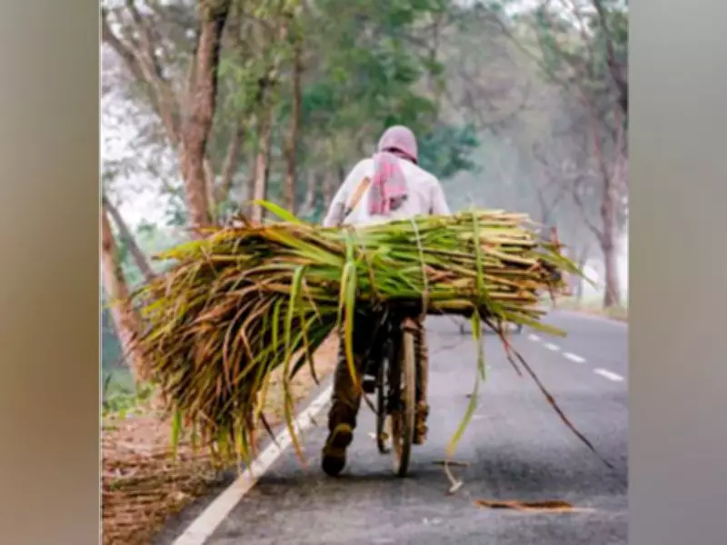 Congress and AAP Clash Over Sugarcane Research Institute in Amritsar