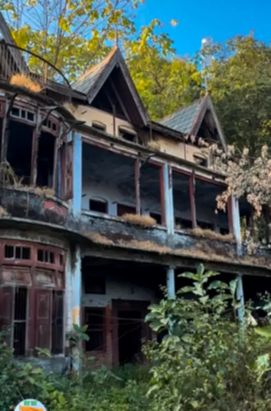 Conservationists Urge Mapping of Slate-Roofed Houses as Heritage Assets in Himachal