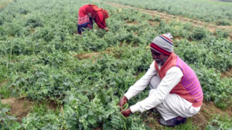 Corporate Loan Write-Offs Hit Rs 9.87 Lakh Crore, Farm Relief Just Rs 1.67 Lakh Crore