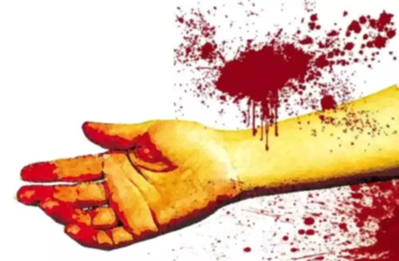 Cricket Match Argument Turns Deadly in Thane, One Killed in Knife Attack