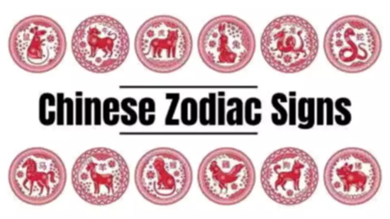 Daily Chinese Horoscope: Ancient Wisdom Reveals Your Zodiac's Energy Today