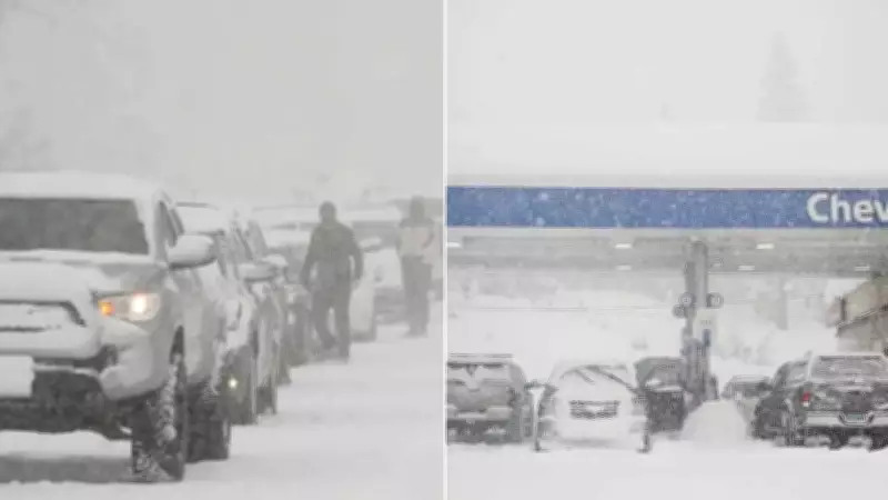 Deadliest US Avalanche in Decades Kills Six Women on Guided Ski Trip in Sierra Nevada