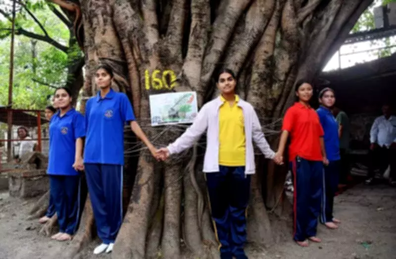 Dehradun Road Widening Project Sparks Renewed Environmental Concerns Over Tree Felling