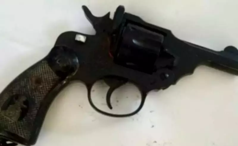 Delhi Police Head Constable Arrested for Allegedly Shooting ED Staffer at Wedding