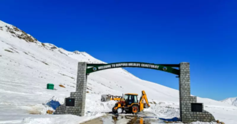 Delhi Tulip Festival Blooms, Protests & Traditions Mark February 16, 2026