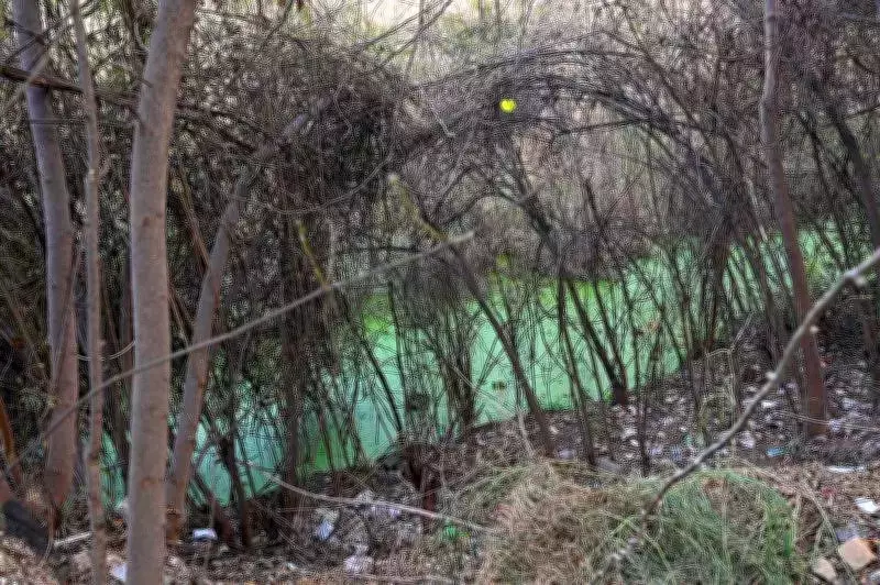 Delhi's Decade-Old Death Trap: Unguarded Pits Pose Imminent Danger to Residents