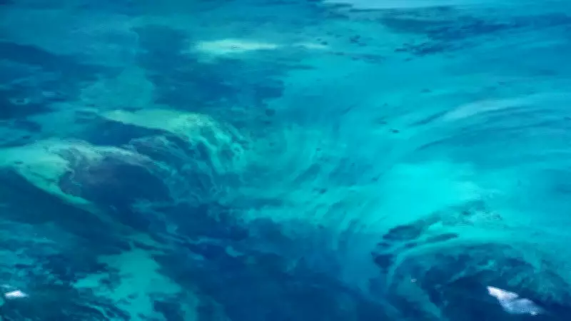 Denmark Strait Cataract: Earth's Largest Waterfall Lies Hidden Beneath Ocean Waves