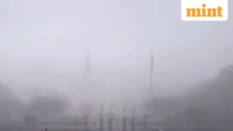 Dense Fog Advisory Issued for Louisiana, Mississippi: Travel Alert Details