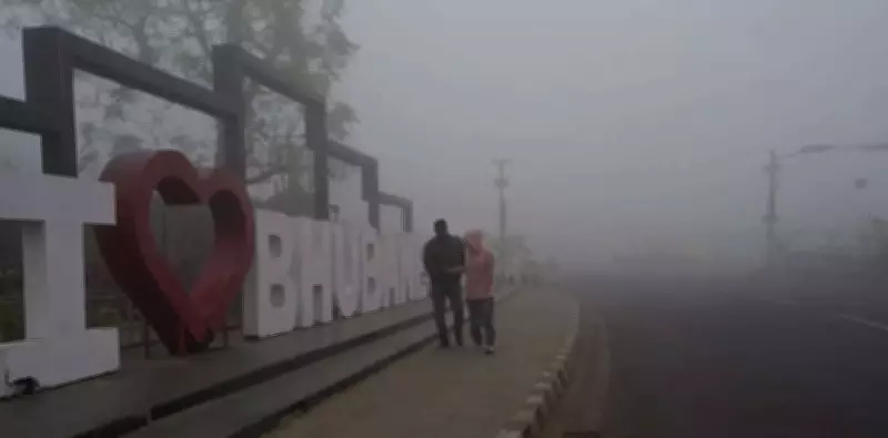 Dense Fog Blankets Odisha Cities, Disrupts Transport; IMD Issues 2-Day Warning