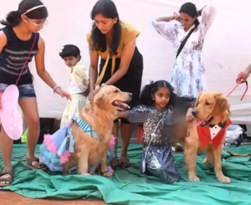 Dharwad Dog Show Unites Pet Lovers, 32 Strays Find Forever Homes