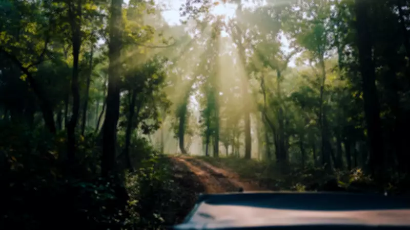 Discover Mainpat: Chhattisgarh's Hidden Hill Station with Gravity-Defying Waters