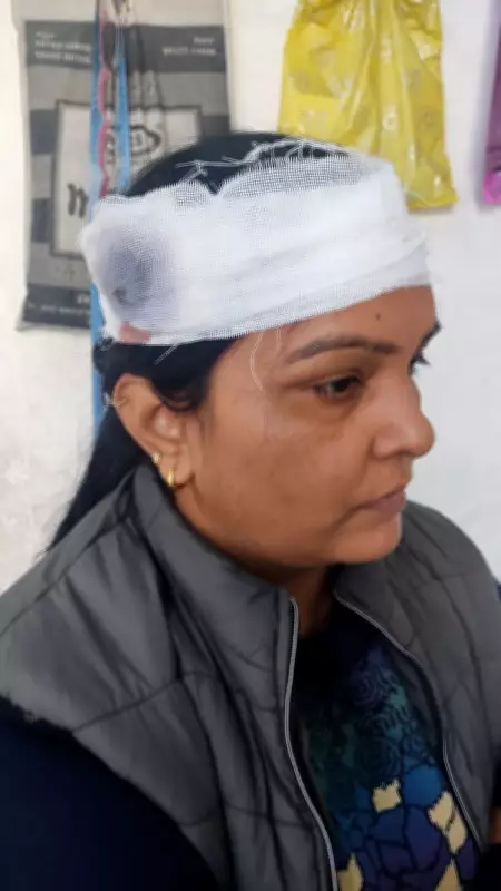 Dog Poop Dispute Turns Violent in Ludhiana's Jamalpur, Neighbour Attacks Couple