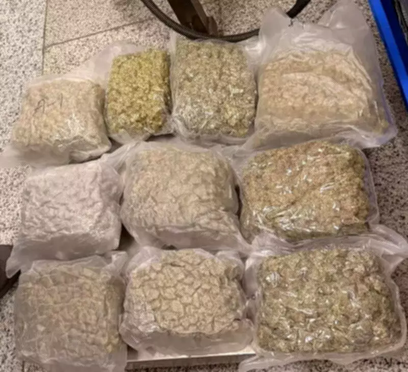 DRI Busts International Drug Ring at Hyderabad Airport, Seizes Rs 9.5 Crore Hydroponic Ganja