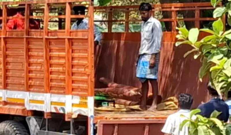 DRI Seizes Illegal Red Sanders in Karur, Tamil Nadu