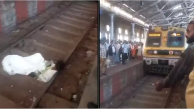 Drunk Man Halts Trains at Mumbai's CSMT Station by Sleeping on Railway Track
