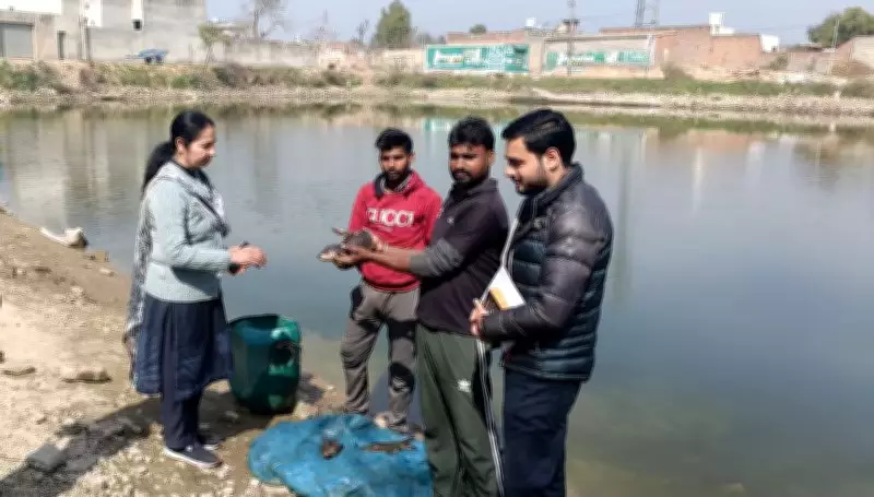 Dubai Returnee Builds Thriving Fish Farming Venture in Barnala, Punjab