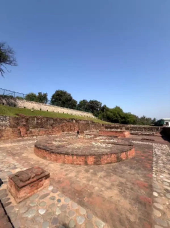 Echoes of a Shared Past: Uncovering Historical Connections