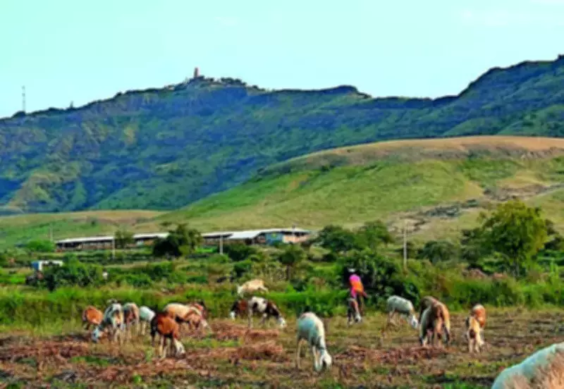Ecologists Use 750 Years of Marathi Literature to Decode Maharashtra's Landscape History