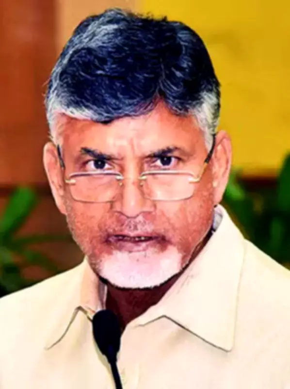 ED Clears Andhra CM Naidu in APSSDC Siemens Project Money Laundering Case
