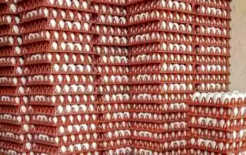 Egg Prices in Bengaluru Drop by Rs 1.5 After Winter Peak, Offering Consumer Relief