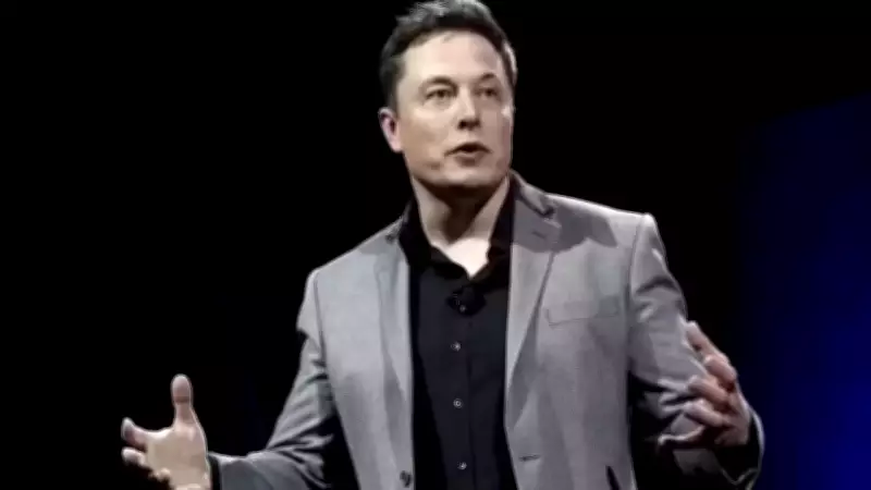 Elon Musk's 'Money Can't Buy Happiness' Tweet Sparks Global Debate After $800B Wealth Surge
