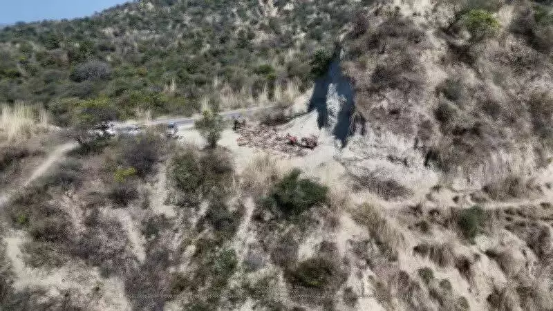 Environmental Activist Challenges Bulk Drug Park Clearance in NGT Over Multiple Violations