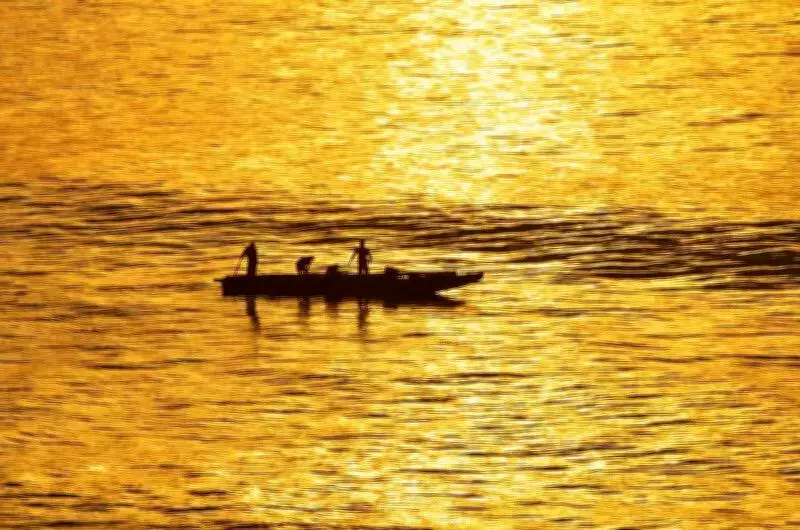 Environmental Advocate Decries Coastal Destruction for Corporate Profits in Andhra Pradesh