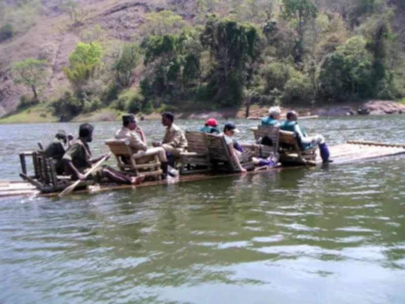 Eravikulam's 50-Year Legacy: A Triumph for India's Wildlife Conservation