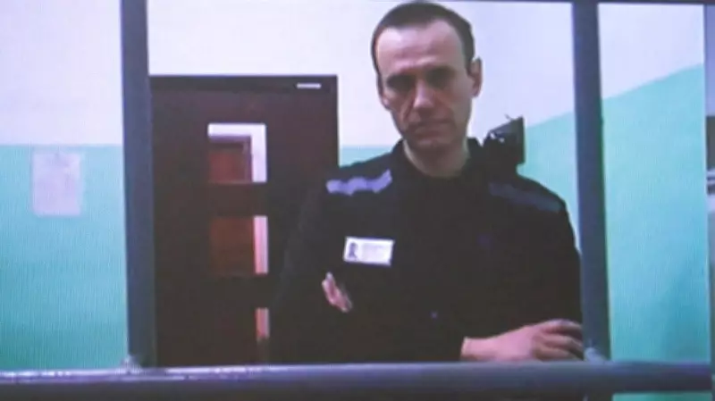 European Governments Claim Navalny Poisoned with Frog Toxin, Russia Denies