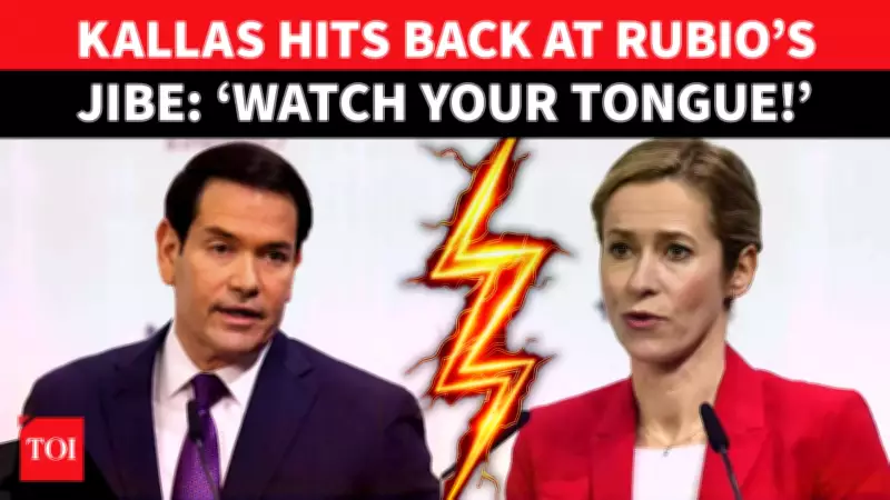 EU's Kallas Clashes with US Over 'Civilizational Erasure' Claims at Munich Summit