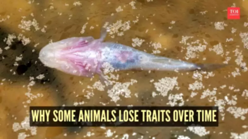 Evolution's Hidden Truth: How Losing Traits Drives Survival in Nature