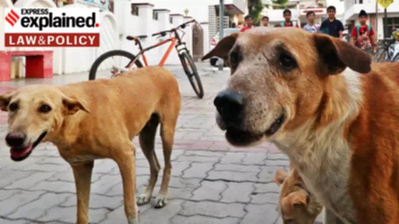 Expert: Eradicating Stray Dogs is Impossible, New Approach Needed