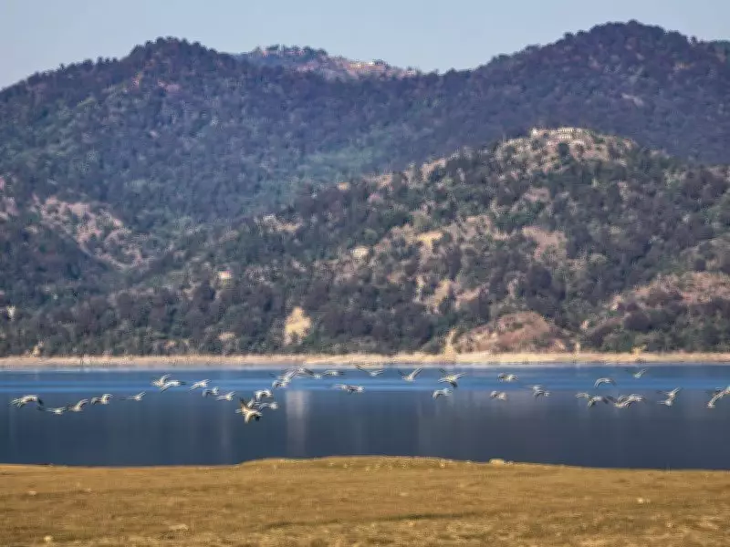 Explainer: The Critical Desilting Operation at Bhakra's Gobind Sagar Reservoir