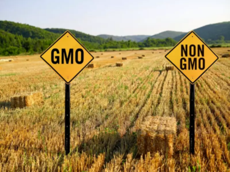 Explainer: The US-India Animal Feed Dispute and Its Trade Implications