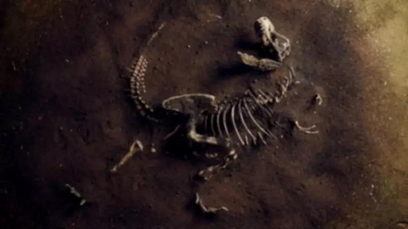 Exquisite Fossil of One of the Smallest Dinosaurs Discovered in Argentina