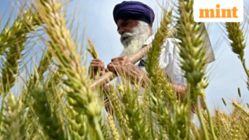 Farmers' Groups Slam India-US Trade Deal, Announce Nationwide Protests