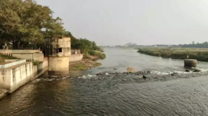 Farmers in Tamil Nadu's Cauvery Delta Demand Mettur Dam Reopening for Irrigation