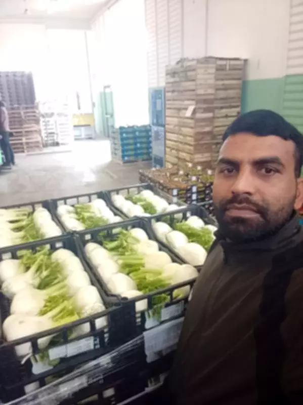 Fatehabad Youth's Remarkable Journey: From Drugs to a New Life in Italy