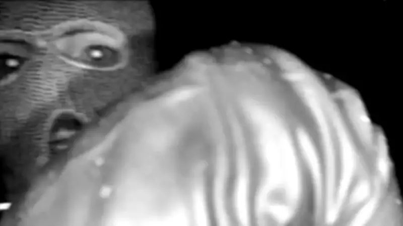 FBI Releases Masked Suspect Footage in Nancy Guthrie Kidnapping Case