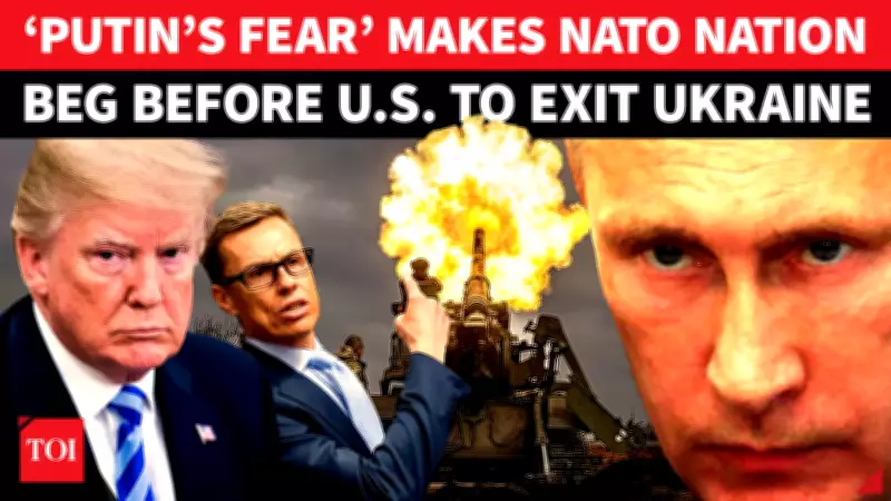 Finland Warns US Against 'Article 5-Like' Ukraine Security Pledges