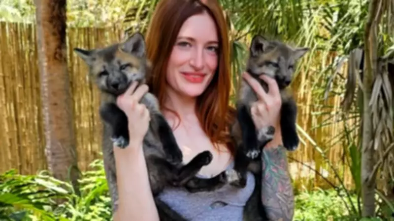 Finnegan the Fox of Save A Fox YouTube Channel Passes Away, Family Shares Emotional Update