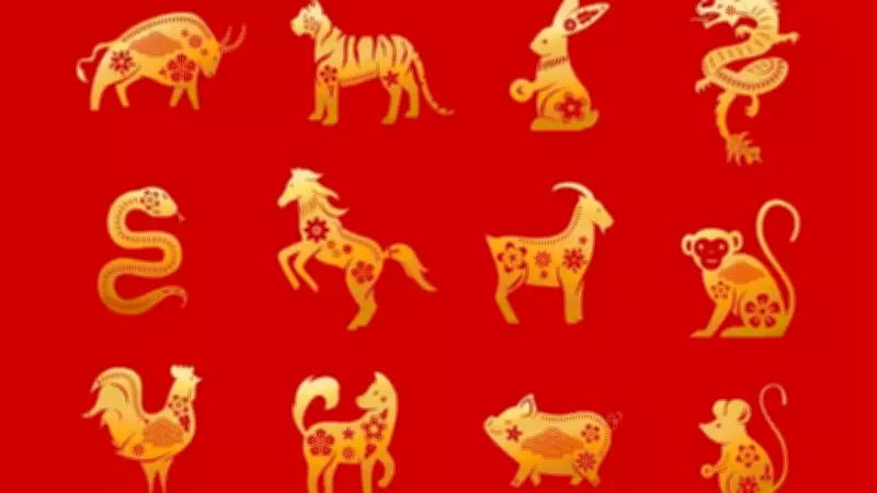 Fire Horse Year 2026: Top 5 Chinese Zodiac Signs Set for Luck & Success