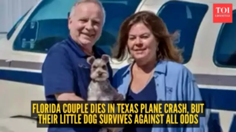 Florida Couple Dies in Texas Plane Crash, Their Dog Survives as a Miracle